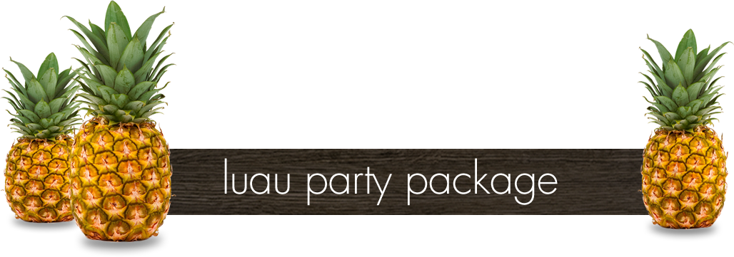 Luau Party Package